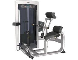 Тренажер разгибание спины Aerofit ExoForm FE9732