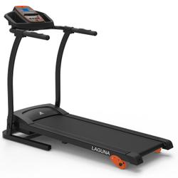 Беговая дорожка DFC LAGUNA T-250