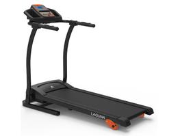 Беговая дорожка DFC LAGUNA T-250