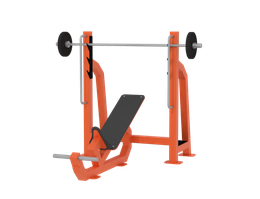 Скамья для жима под углом 30 кг Iron King S202