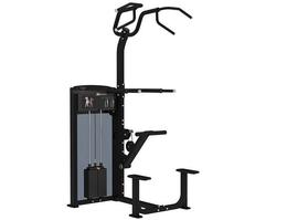 Тренажер подтягивание/отжимание с помощью Aerofit IF9320