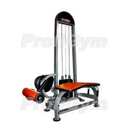 Тренажер для бицепсов бедер ТГ-0120-C