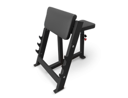 Скамья Скотта BRONZE GYM AL-303