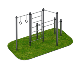 Комплекс снарядов – кольца гимнастические, турник, шведская стенка, брусья ARWOK021