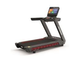 Беговая дорожка Ultra Gym UG-POWER 010