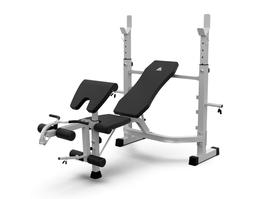 Скамья под штангу DFC D745