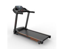 Беговая дорожка DFC SENTRA T123B