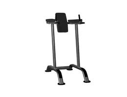 Тренажер поднятие коленей Aerofit IT7010