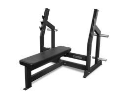 Скамья для жима горизонтальная BRONZE GYM AL-304