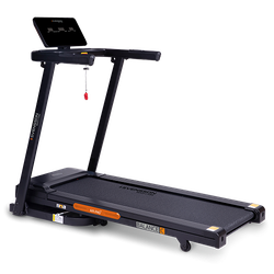 Беговая дорожка домашняя SVENSSON BODY LABS BALANCE C