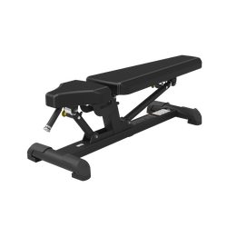 Регулируемая скамья Spirit SP-4204