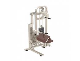 Трицепс-машина Iron King KS04