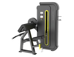 Сгибание рук сидя BRONZE GYM BW-3030